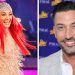 Strictly Come Dancing pro pays sweet tribute to 'one happy family' | TV &  Radio | Showbiz & TV | Express.co.uk